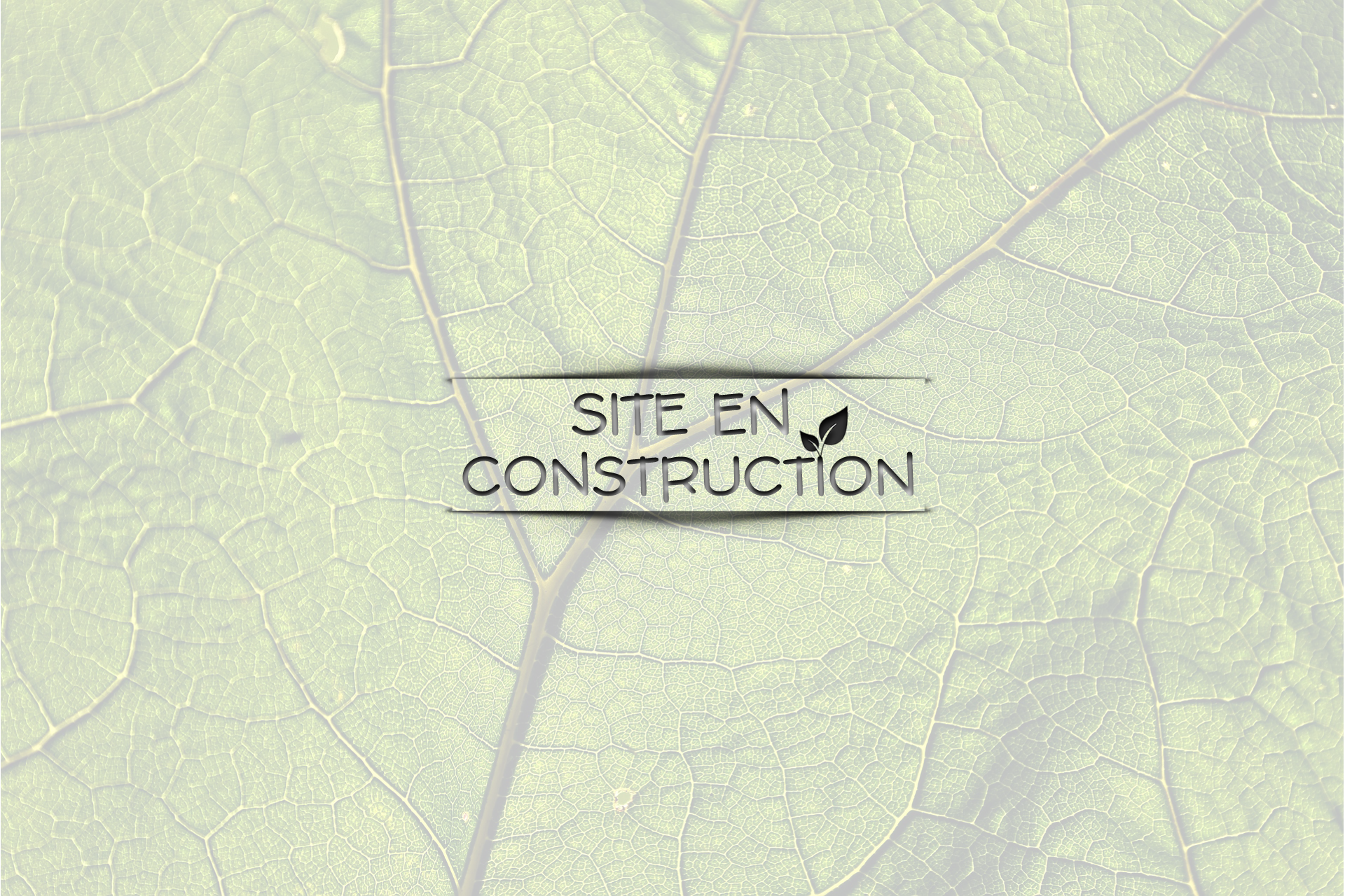 Site en construction